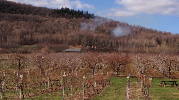 Danger d’incendie de forêt élevé en Montérégie